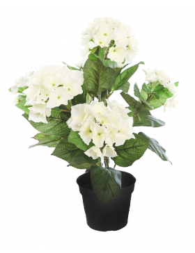 Maceta Hortensia 50Cm - Comprar al mejor precio Online