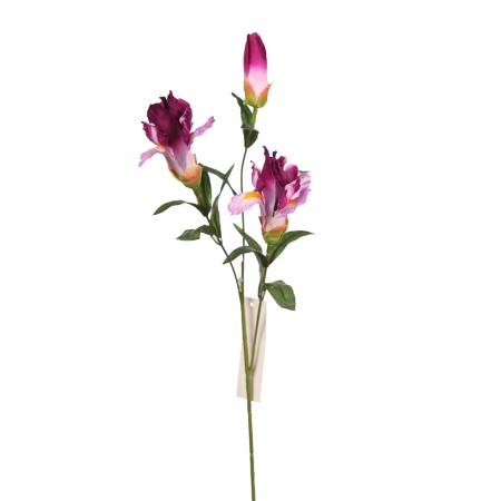 VARA IRIS ARTIFICIAL
