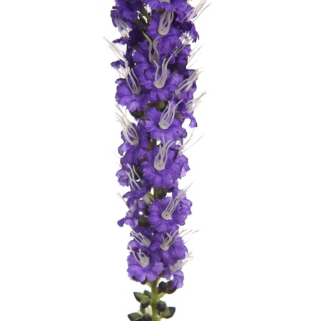 VARA LIATRIS ARTIFICIAL 65CM