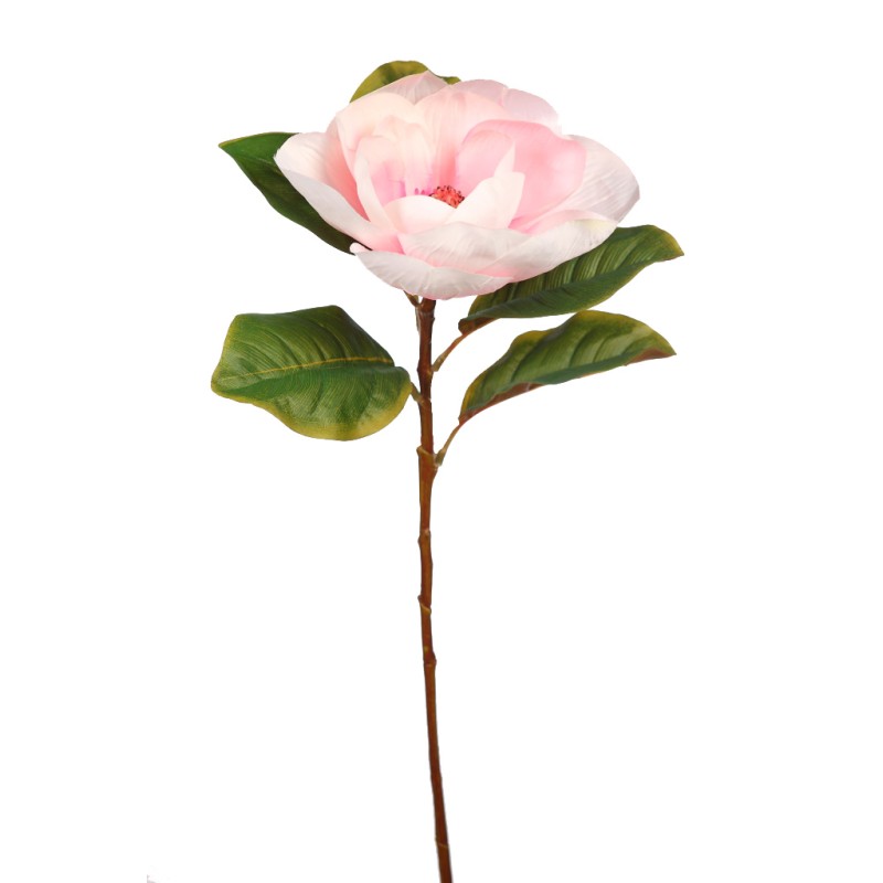 VARA MAGNOLIA