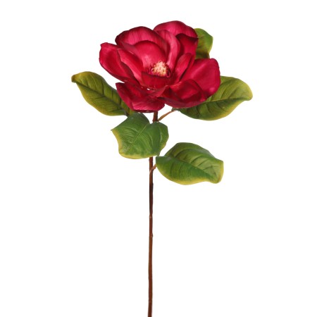 VARA MAGNOLIA