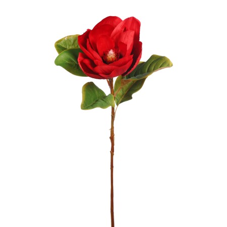 VARA MAGNOLIA
