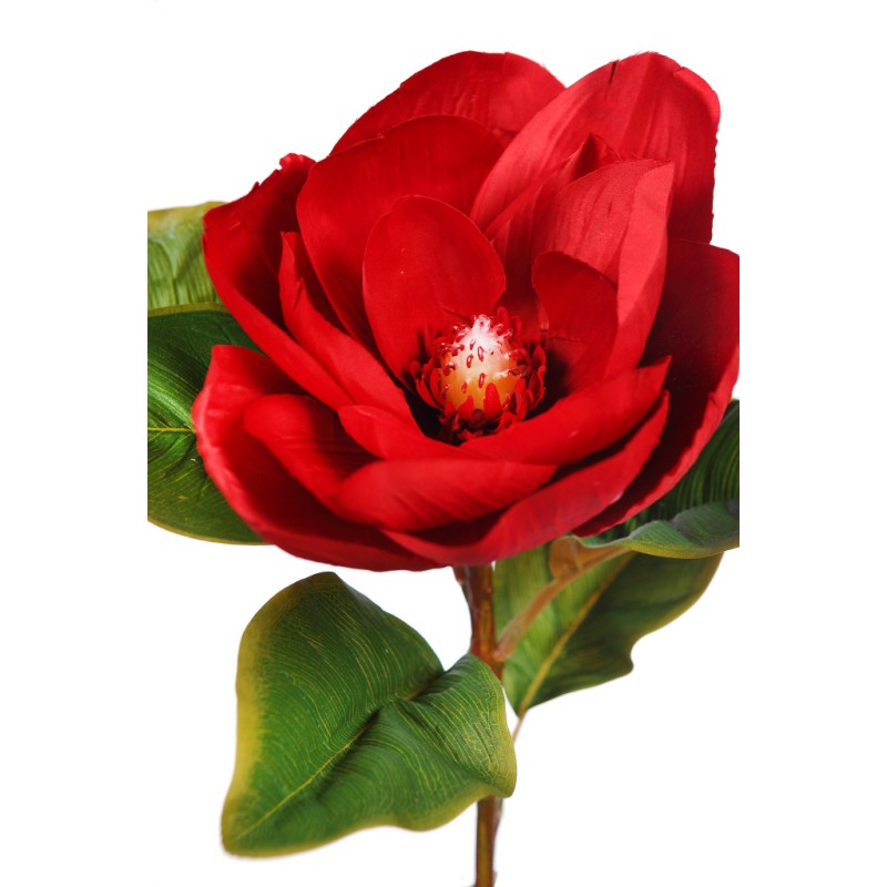 VARA MAGNOLIA