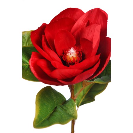 VARA MAGNOLIA