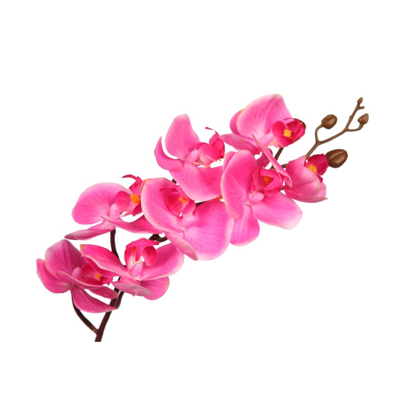 VARA ORQUIDEA