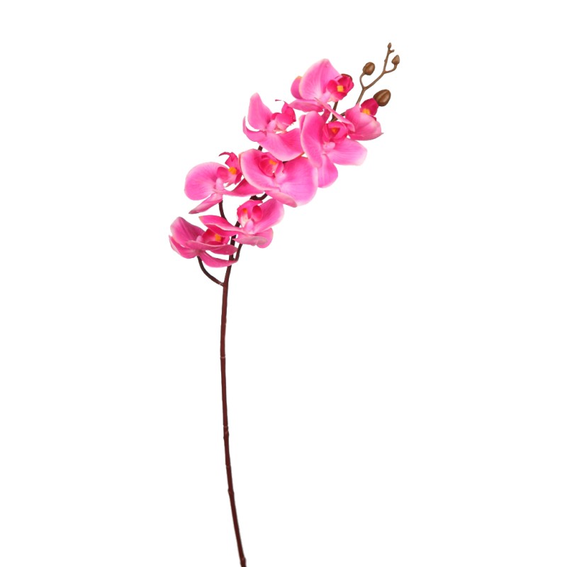 VARA ORQUIDEA