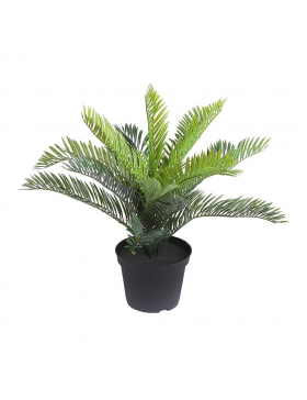 MACETA PALMERA CICA ALT 32CM
