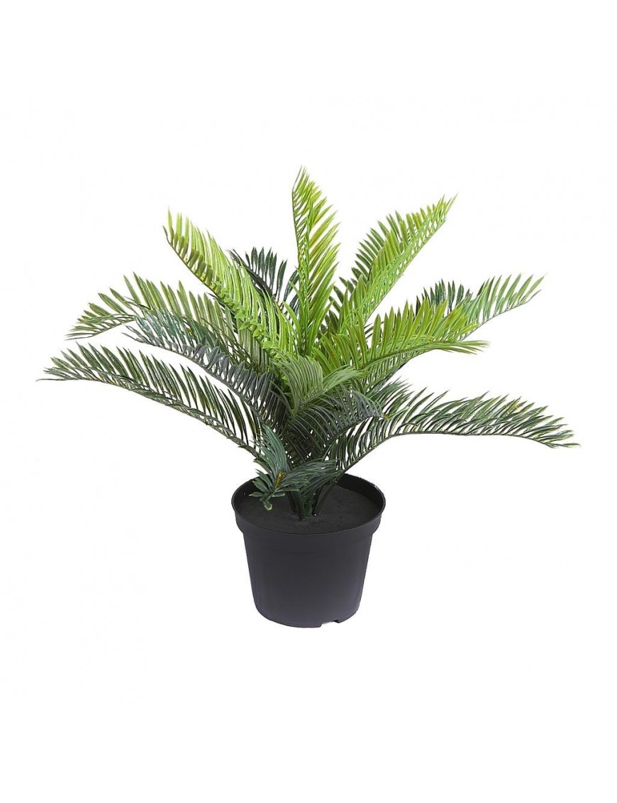 MACETA PALMERA CICA ALT 32CM