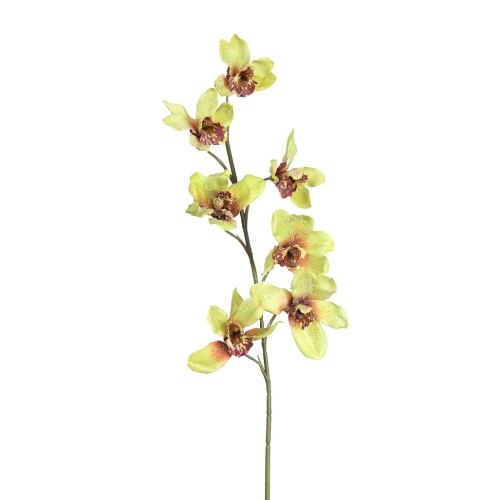 VARA ORQUIDEA BRILLO 70CM