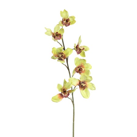 VARA ORQUIDEA BRILLO 70CM