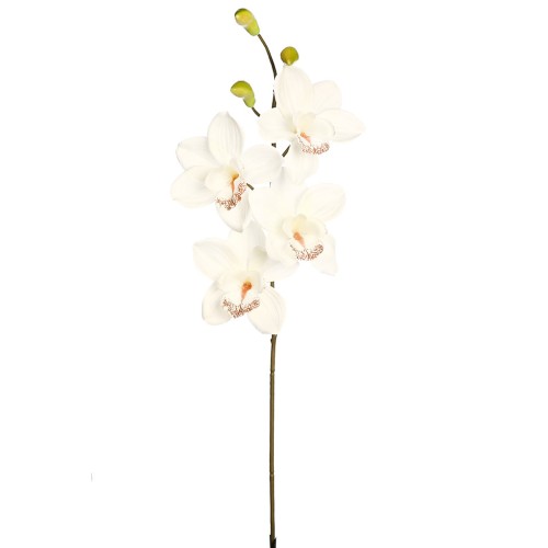 VARA ORQUIDEA CYMBIDIUM 60 CM 2