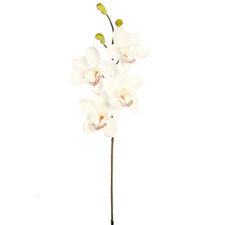 VARA ORQUIDEA CYMBIDIUM 60 CM