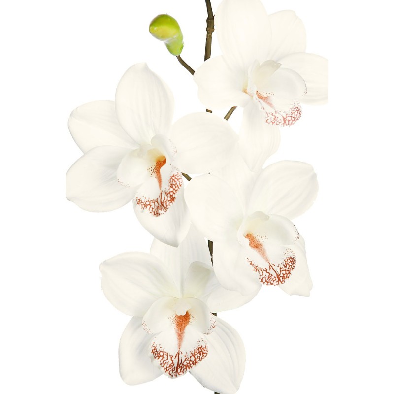 VARA ORQUIDEA CYMBIDIUM 60 CM