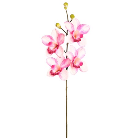 VARA ORQUIDEA CYMBIDIUM 60 CM