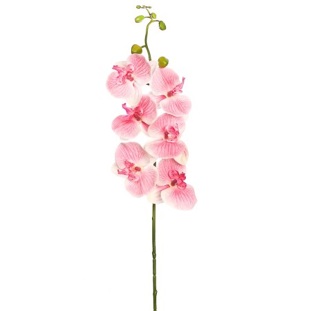 VARA ORQUIDEA NATURE 80CM