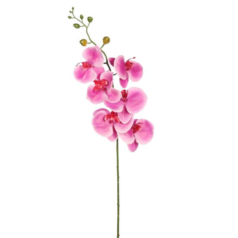 VARA ORQUIDEA NATURE 80CM
