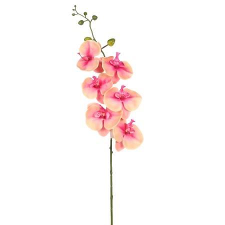 VARA ORQUIDEA NATURE 80CM