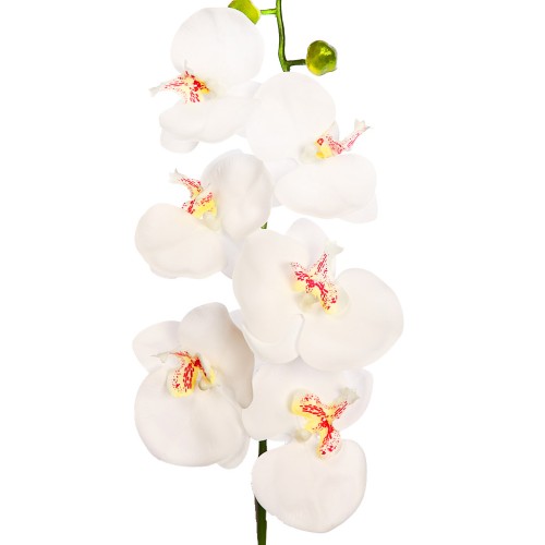 VARA ORQUIDEA NATURE 80CM 2