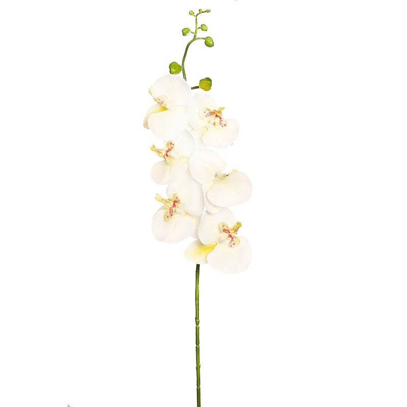 VARA ORQUIDEA NATURE 80CM