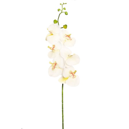 VARA ORQUIDEA NATURE 80CM