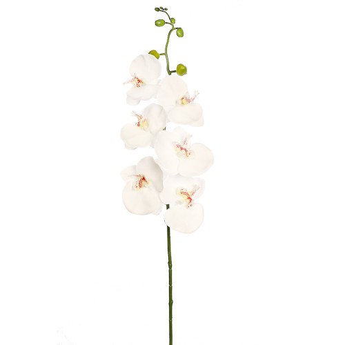 VARA ORQUIDEA NATURE 80CM 2