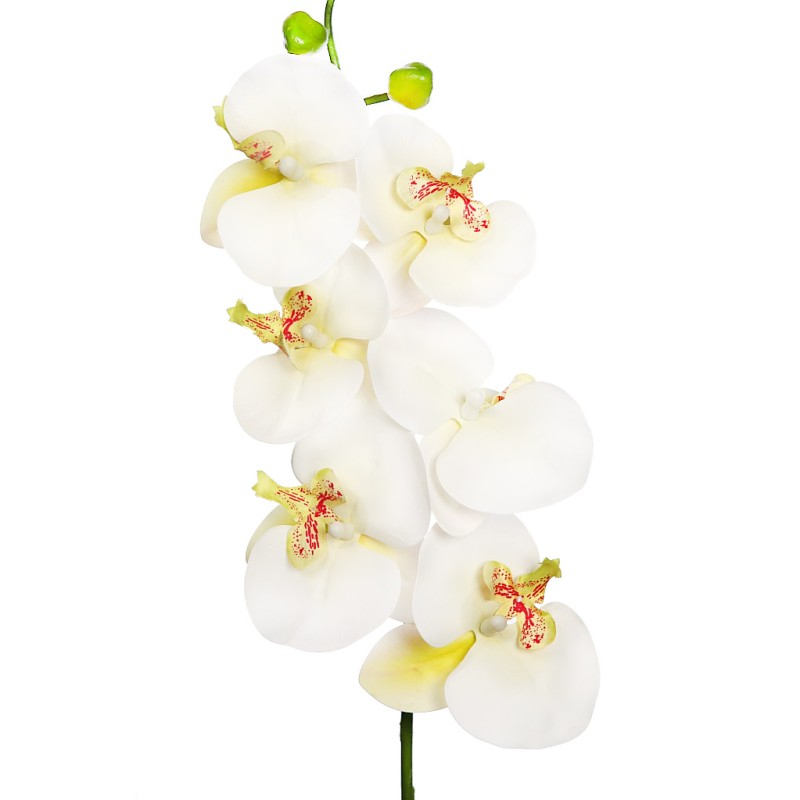 VARA ORQUIDEA NATURE 80CM