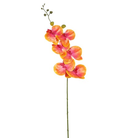 VARA ORQUIDEA NATURE 80CM
