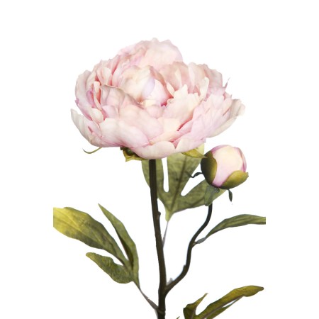 VARA PEONIA 70 CM