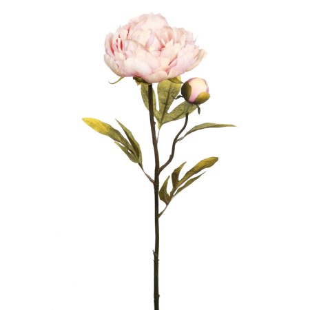 VARA PEONIA 70 CM