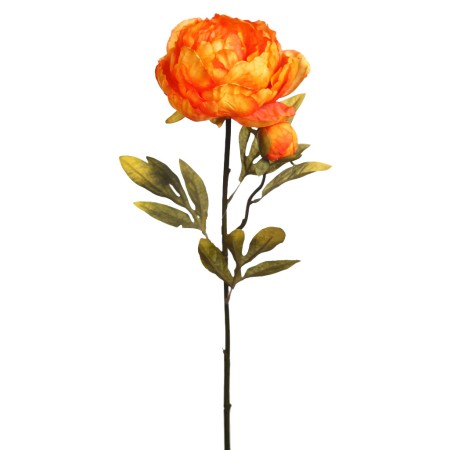VARA PEONIA 70 CM