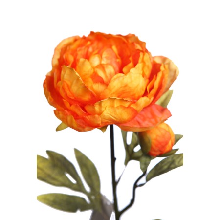 VARA PEONIA 70 CM