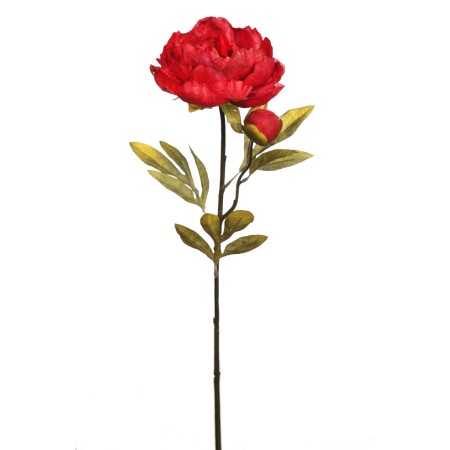 VARA PEONIA 70 CM