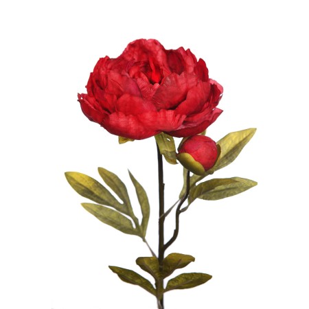 VARA PEONIA 70 CM