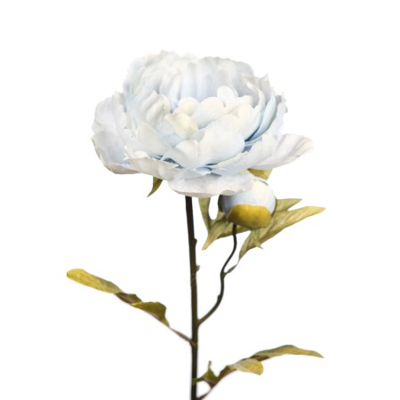 VARA PEONIA 70 CM
