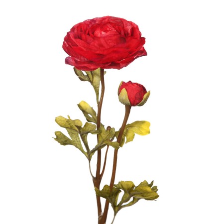 VARA RANUNCULO 54 CM