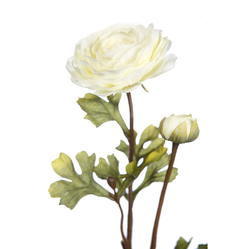 VARA RANUNCULO 54 CM