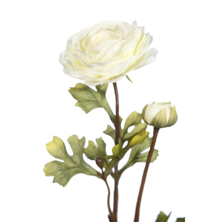 VARA RANUNCULO 54 CM