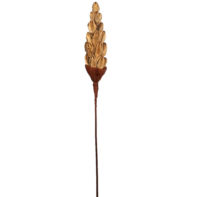 VARA ROMAN LILY 100CM