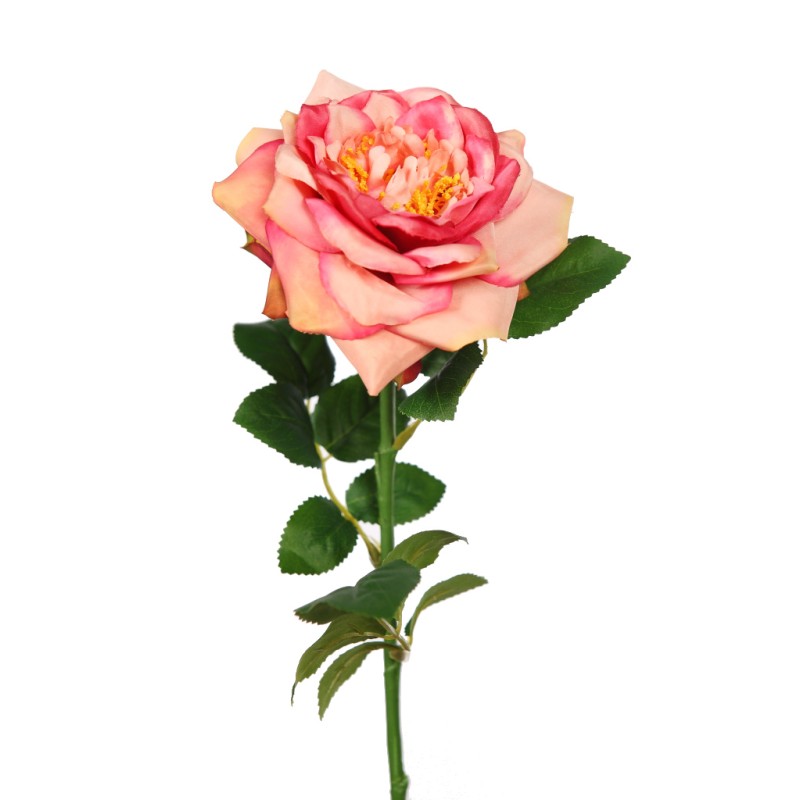 VARA ROSA