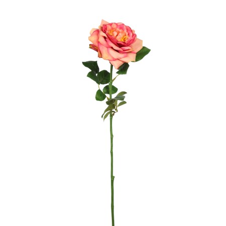 VARA ROSA