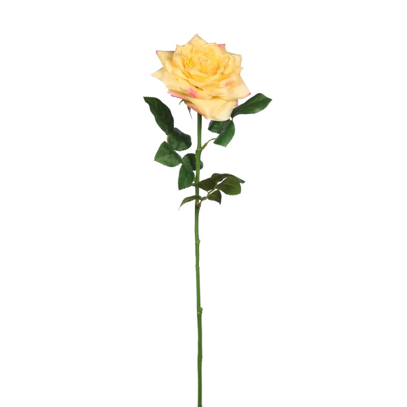VARA ROSA