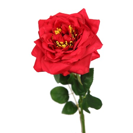 VARA ROSA