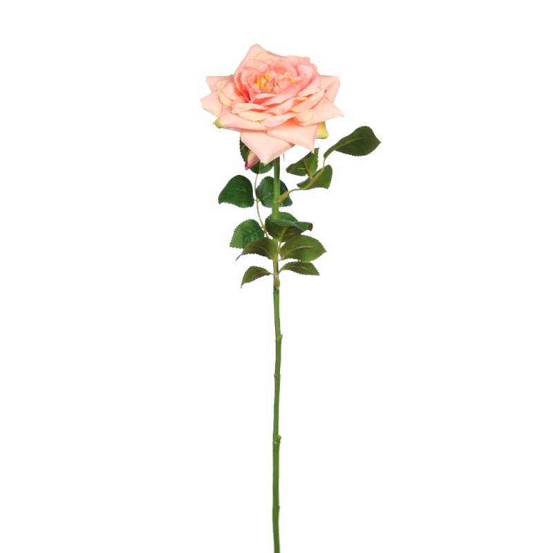 VARA ROSA