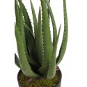 CACTUS ALOE ARTIFICIAL 55CM 