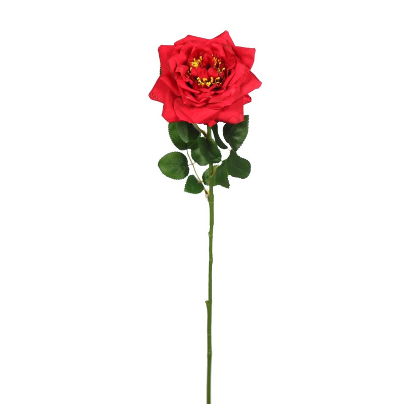 VARA ROSA