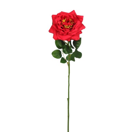 VARA ROSA