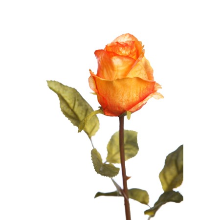 VARA ROSA 65 CM