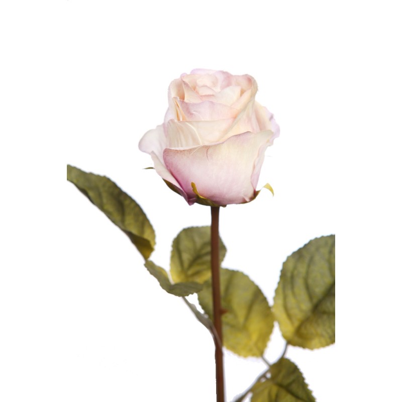 VARA ROSA 65 CM