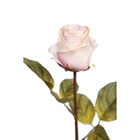 VARA ROSA 65 CM