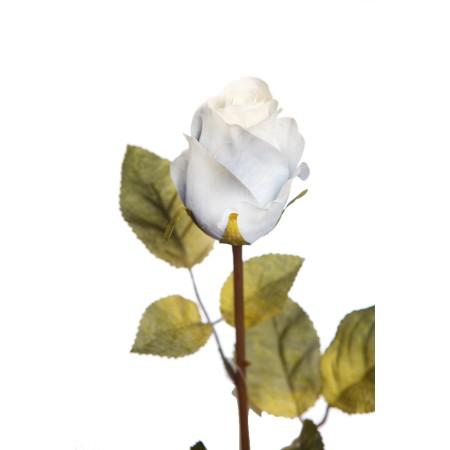 VARA ROSA 65 CM